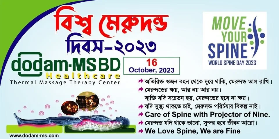 Used Dodam-MS DMS1800 Serpentine Stone Heating Therapy Mat