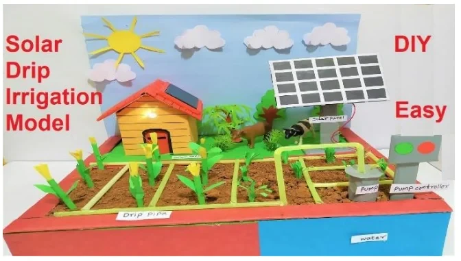 Solar Drip Irrigation Model Sciece Project Price in Bangladesh